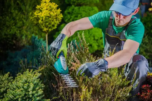 landscaping services Warrensville Heights